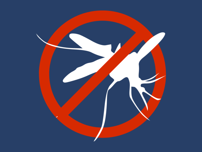 EN AGOSTO COMENZARÍA LA VACUNACIÓN CONTRA EL DENGUE