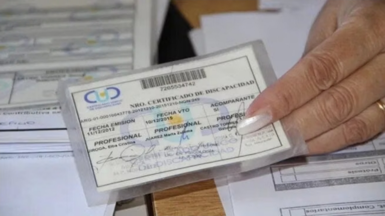 Desde junio, las personas con discapacidad podrán acceder al boleto gratuito con la SUBE