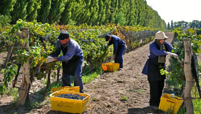 Acuerdo Salarial en la Industria del Vino: Aumentos Confirmados para Trabajadores