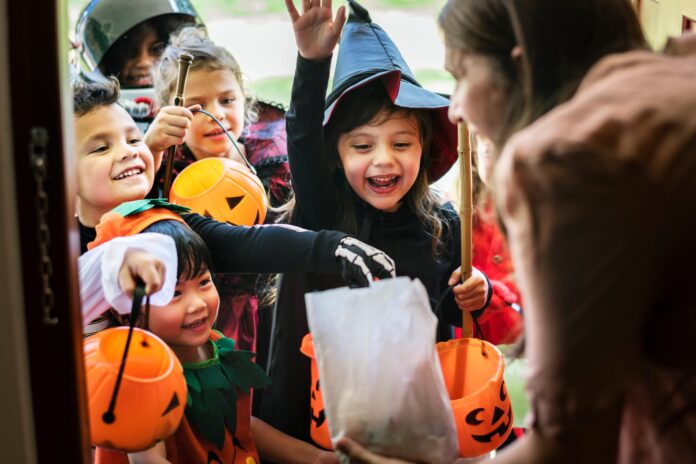 Calabazas de Halloween: Todo lo que debes saber para conseguirlas en Argentina