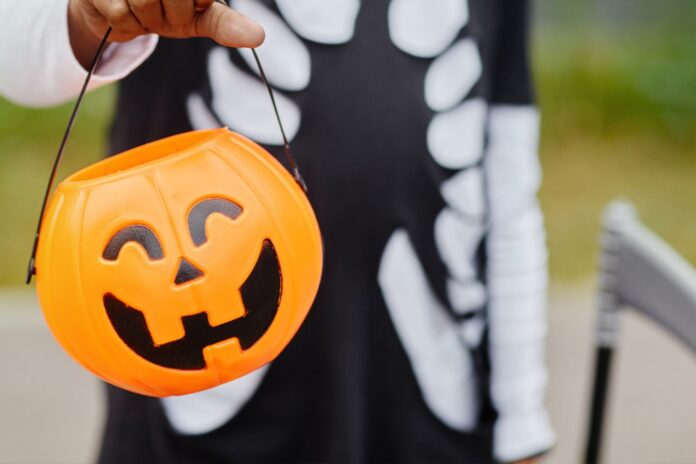 Celebra Halloween 2023: Las mejores actividades para disfrutar en familia