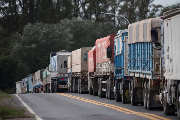 El Aumento en las Declaraciones Juradas de Ventas Exteriores: Trigo y Maíz a la Cabeza
