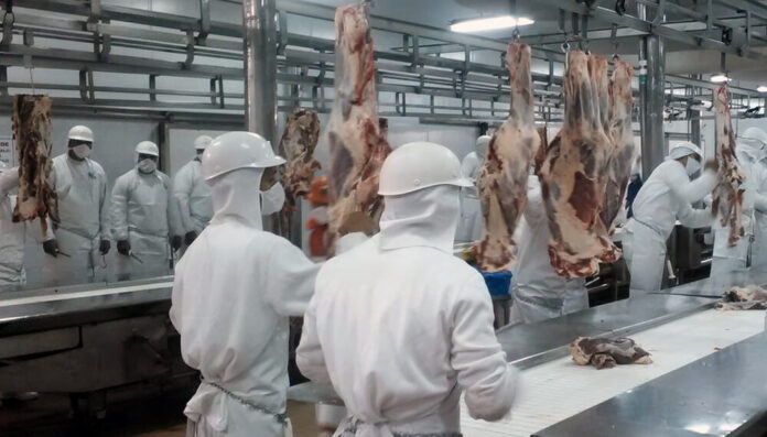 La Industria Frigorífica: Dos Caminos Divergentes entre Exportadores y Consumidores