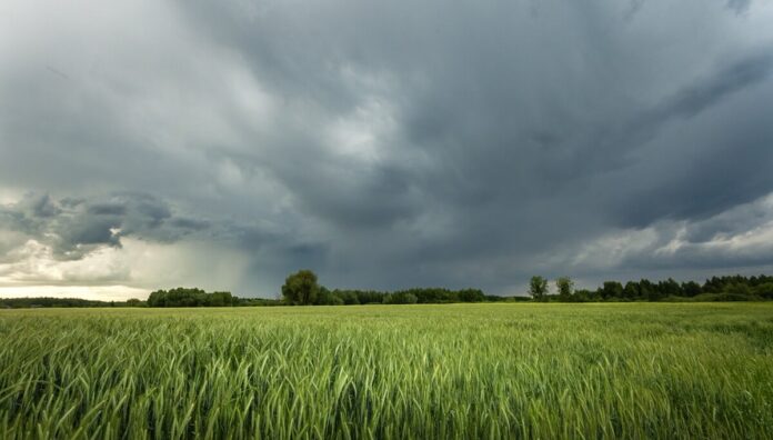 Lluvias Moderadas Impactan el Clima y la Agricultura