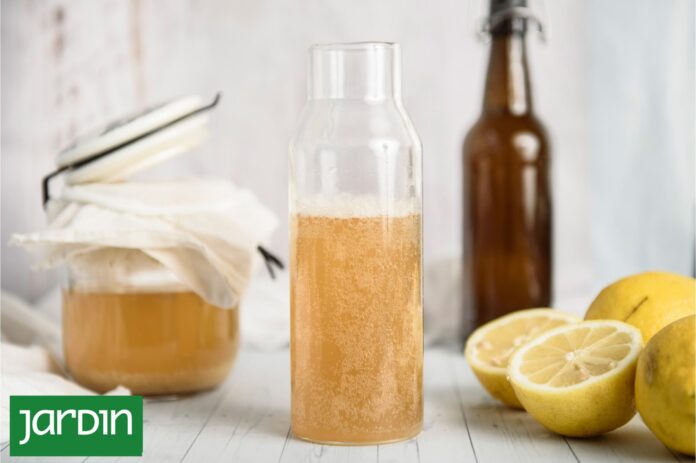 Primavera en la cocina: Potencia tus platos con fermentados y germinados