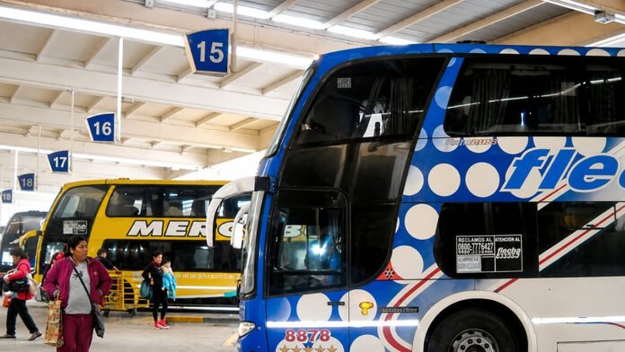Prórroga de permisos para transporte internacional de pasajeros: ¿Qué implica para las empresas argentinas?