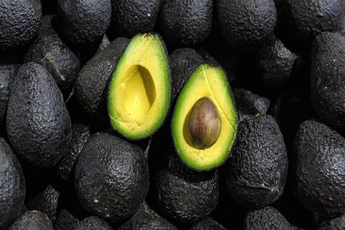 Tragedia en Quilmes: un bebé de 12 días muere tras caerle una palta en la cabeza