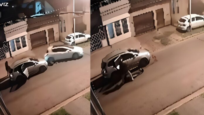 Un intento de robo termina en tragedia: delincuente atropellado muere tras ser trasladado por sus cómplices