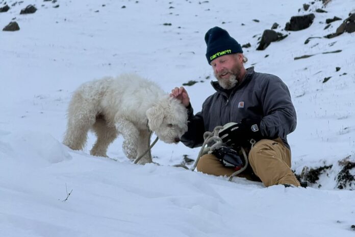 Una perra sobrevive más de 50 horas en Alaska gracias a un AirTag